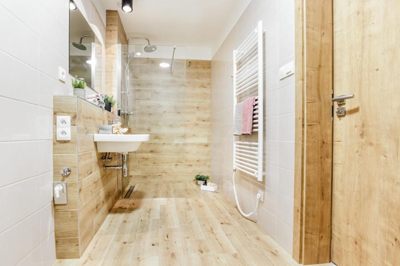 Apartmany Karlovy Dvory Horní Planá エクステリア 写真
